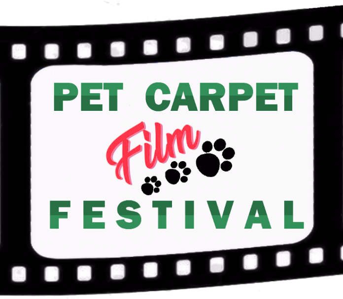 Pet Carpet Film Festival